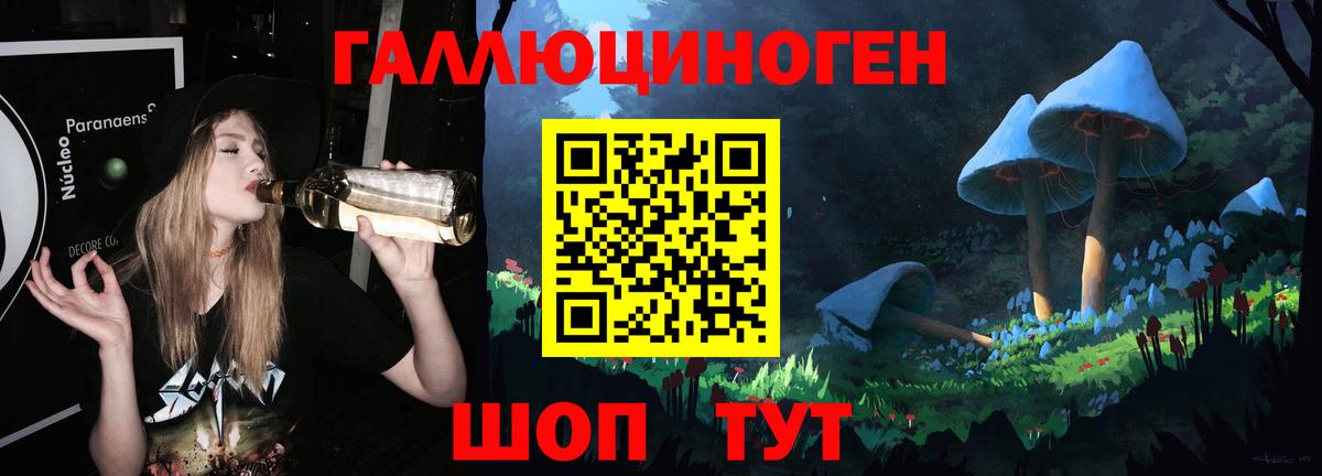 Галлюциногенные грибы Cubensis Георгиевск