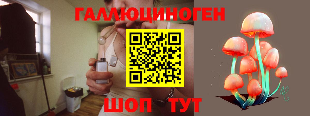 Псилоцибиновые грибы Psilocybine cubensis  Псилоцибиновые грибы прущие грибы  Георгиевск  Вход с VPN 